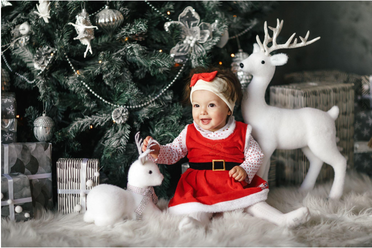 Festive Christmas Garland